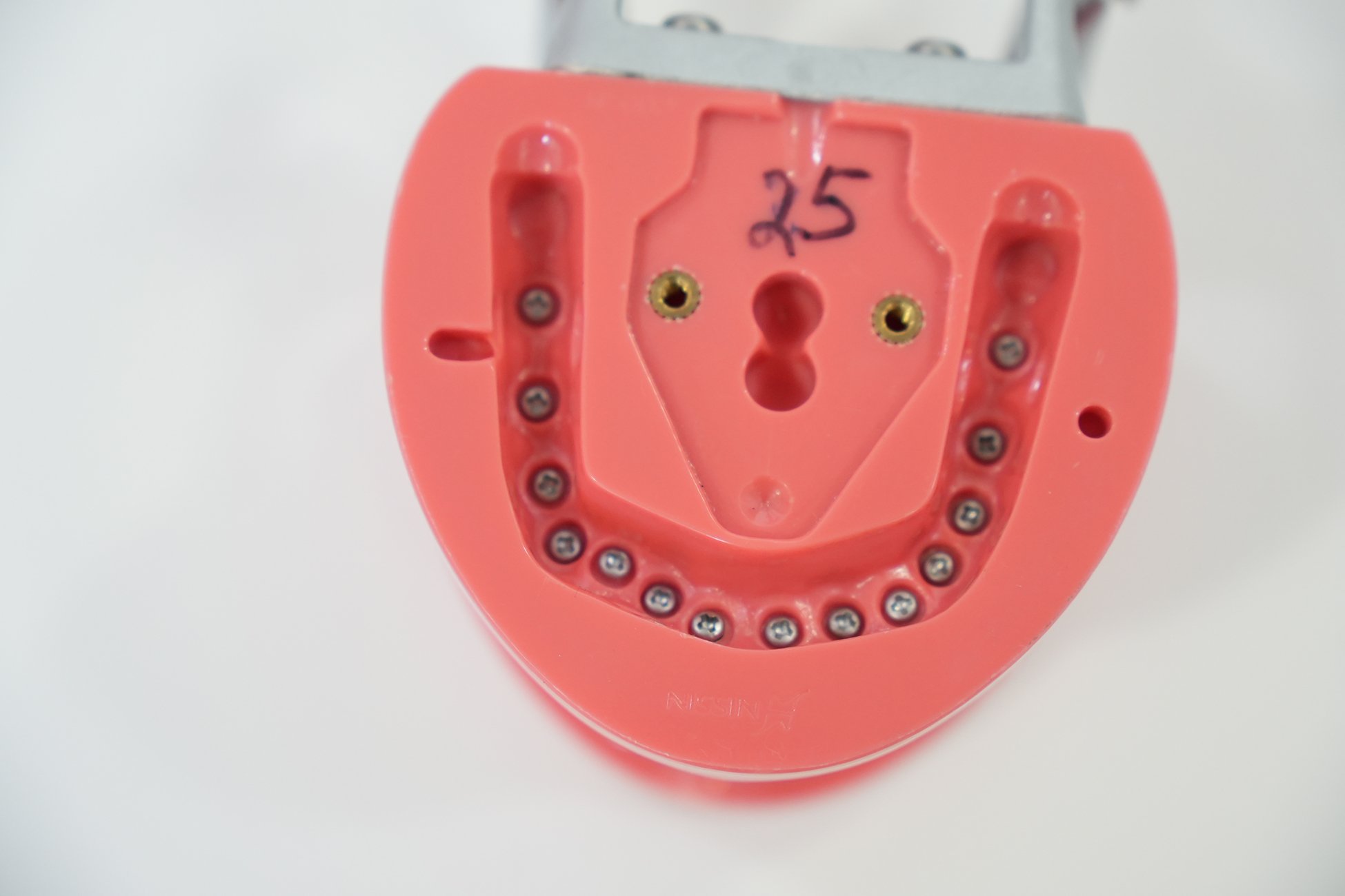 Nissin Professional Teeth Set for Study and Procedure — AGENT